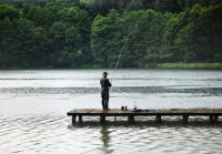 Fishing with a Professional Guide - Elevate Your Angling Adventure